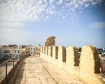  تونس اليوم - توقيع عقد لترميم ''الكراكة'' في حلق الوادي وتحويلها إلى متحف للخزف الفني