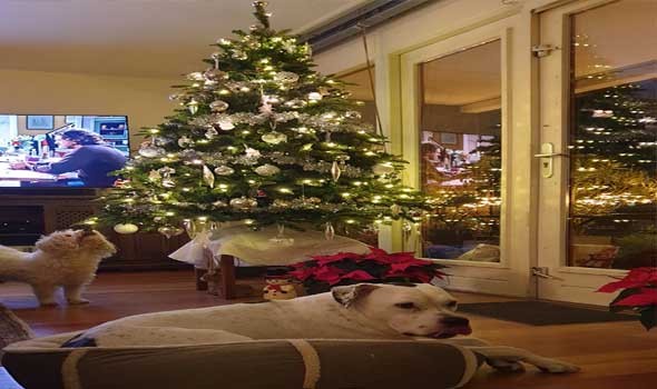 ديكور عيد الميلاد في منزلك من وحي ستيفاني صليبا